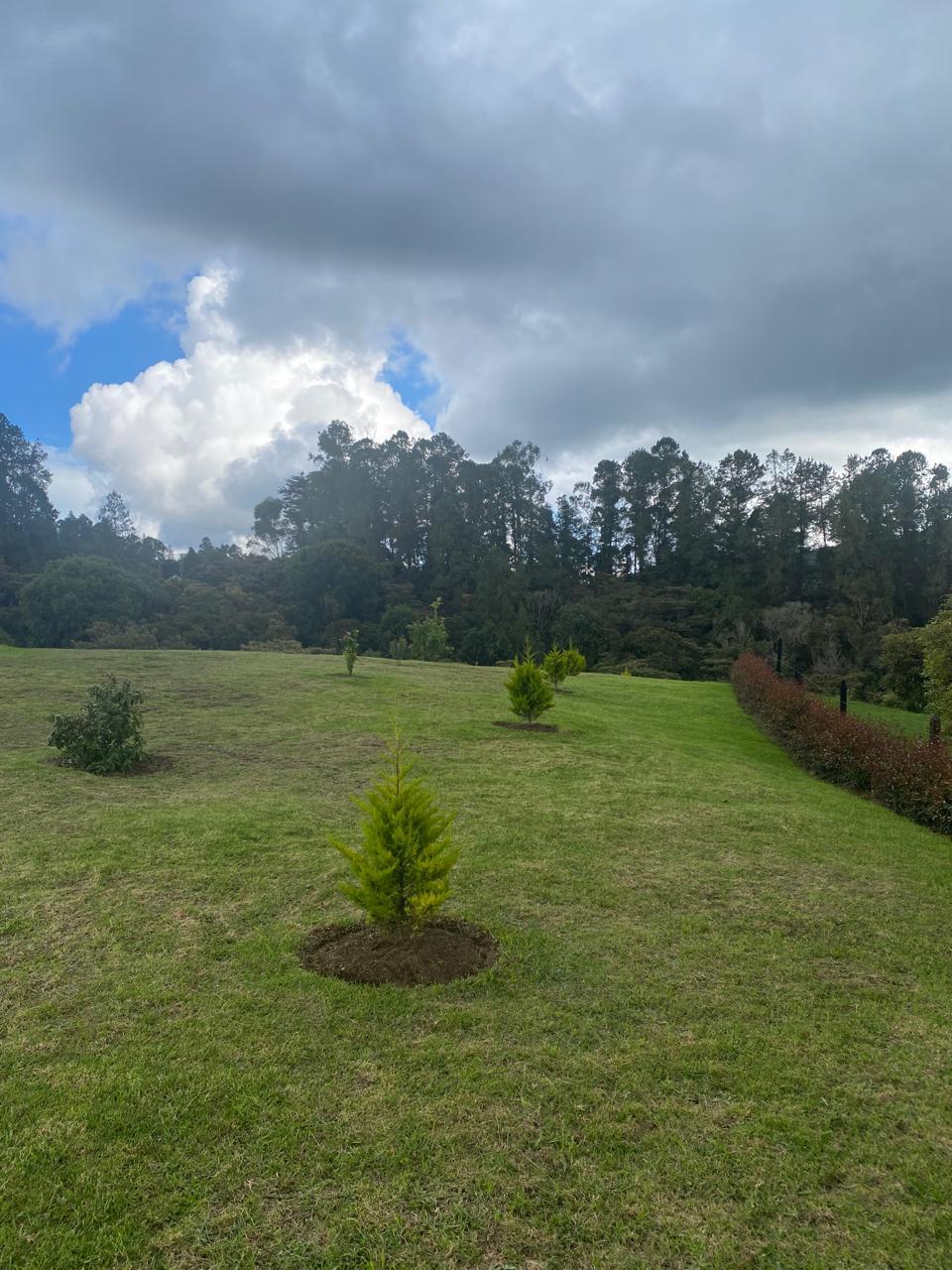 FINCA SANTA ELENA, ANTIOQUIA - Imagen 18