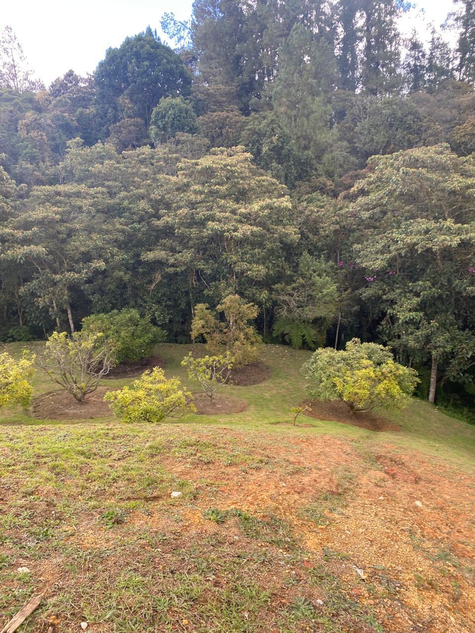 FINCA SANTA ELENA, ANTIOQUIA - Imagen 20