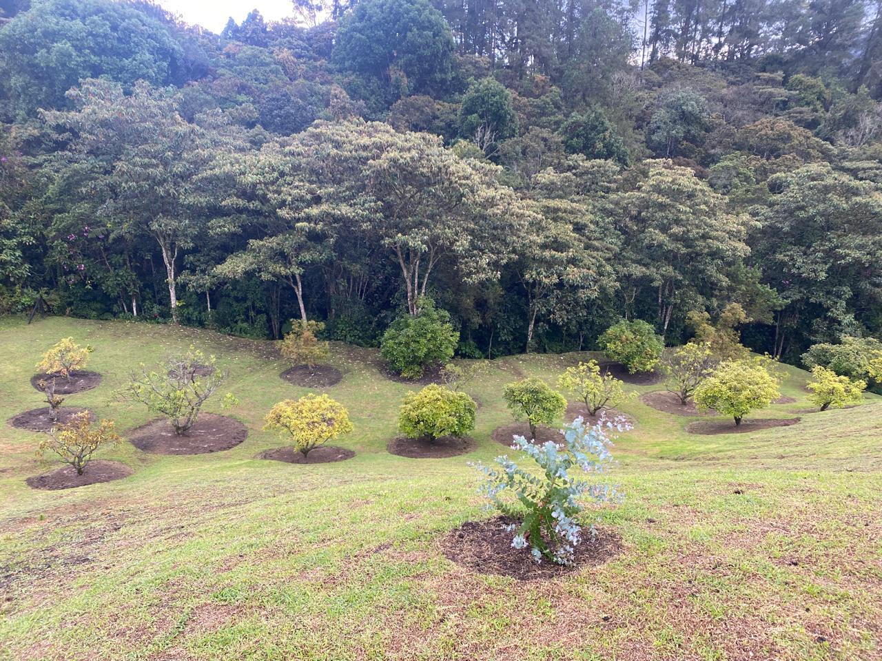 FINCA SANTA ELENA, ANTIOQUIA - Imagen 23