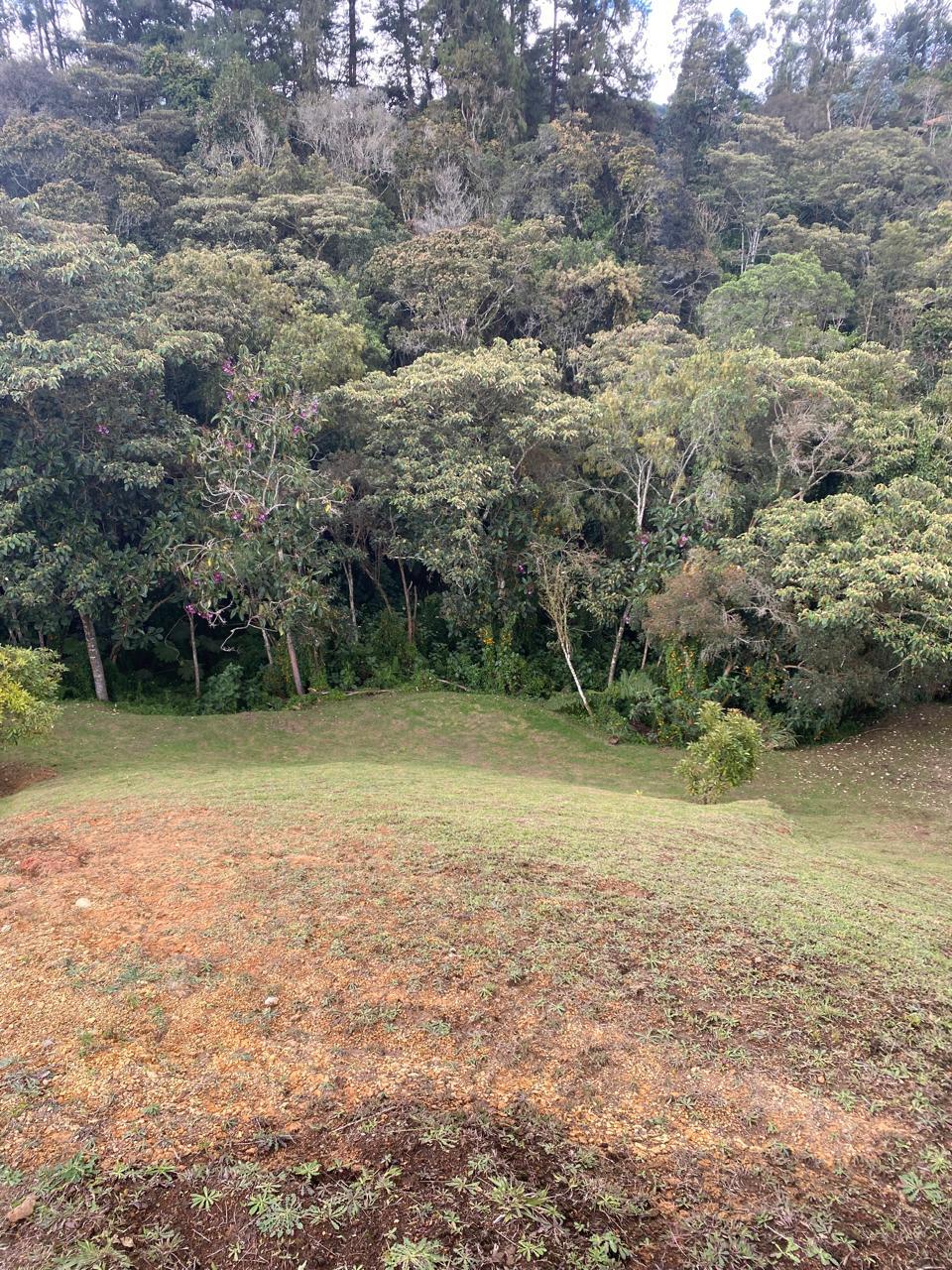 FINCA SANTA ELENA, ANTIOQUIA - Imagen 17
