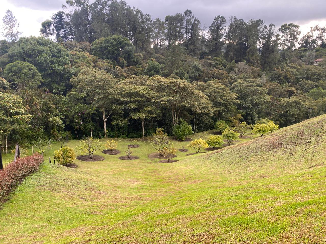 FINCA SANTA ELENA, ANTIOQUIA - Imagen 22
